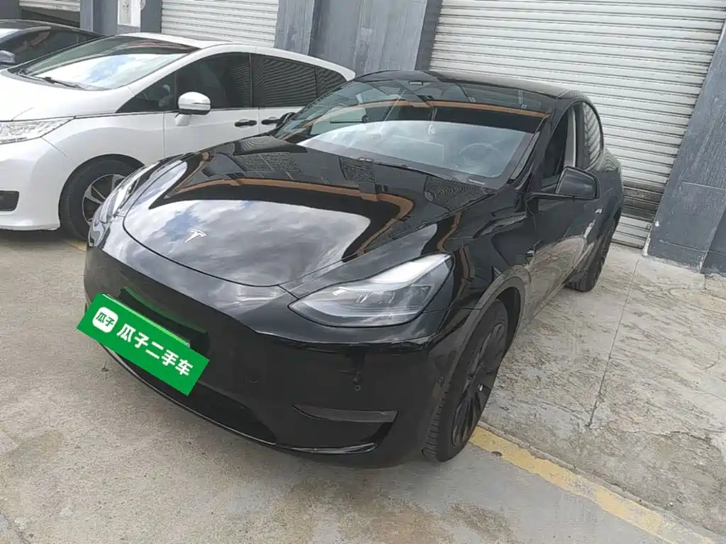 Tesla Model Y — миниатюра 2
