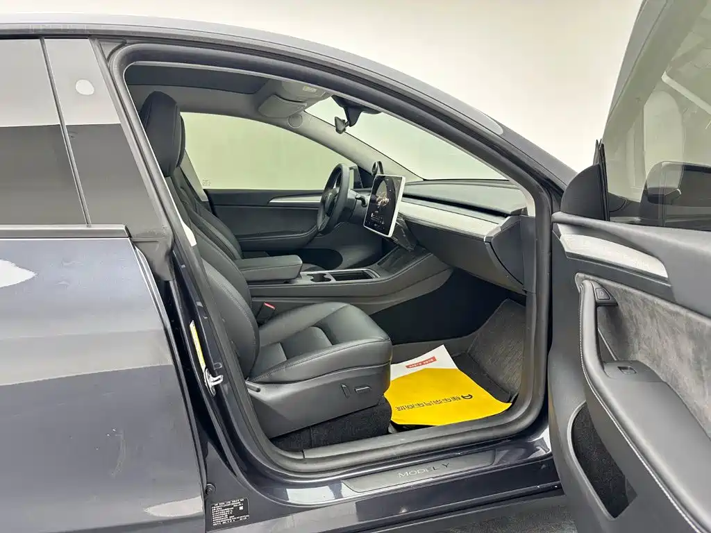 Tesla Model Y — миниатюра 20