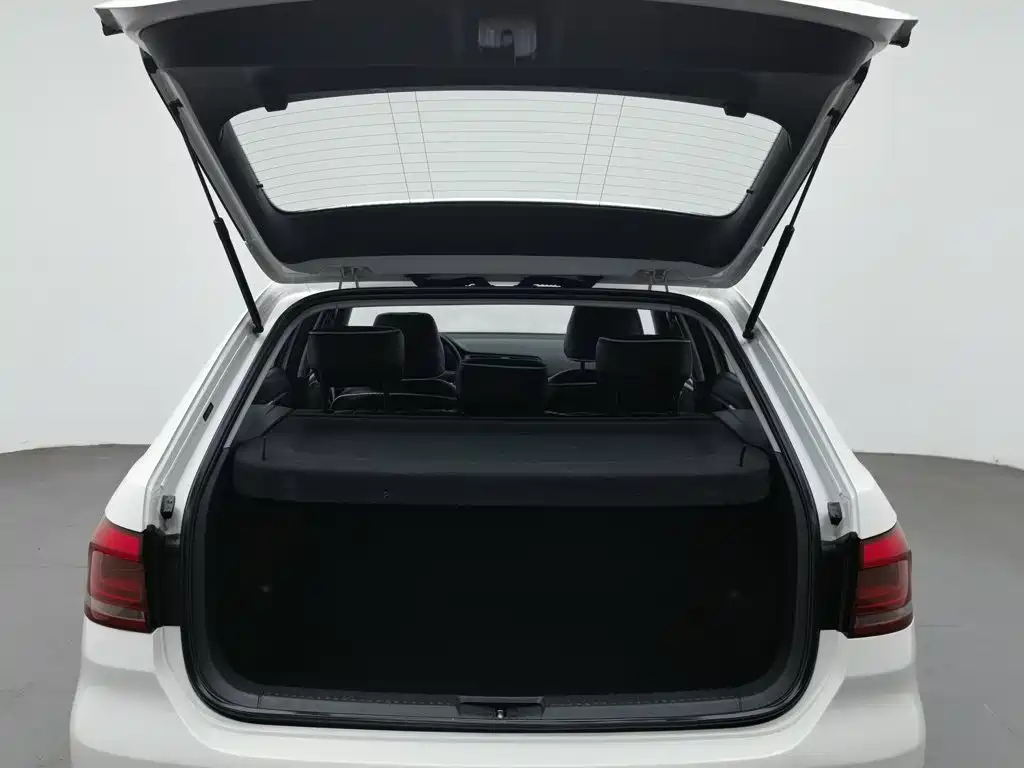 Volkswagen Gran Lavida — миниатюра 16