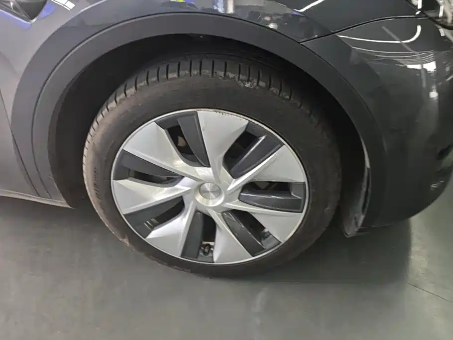 Tesla Model Y — миниатюра 6