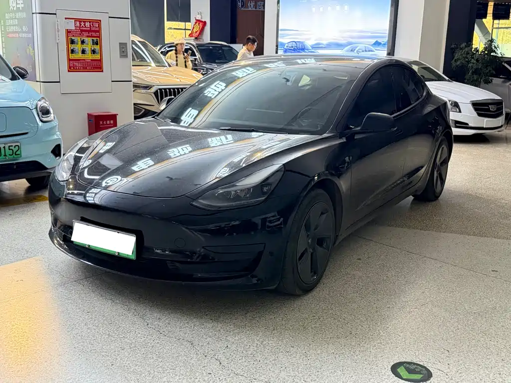 Tesla Model 3 2021