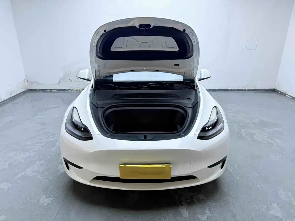 Tesla Model Y — миниатюра 20