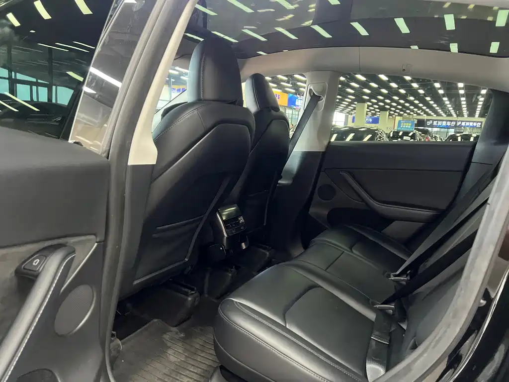 Tesla Model Y — миниатюра 7