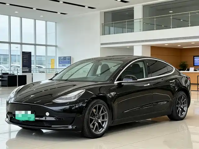 TESLA MODEL 3 2020