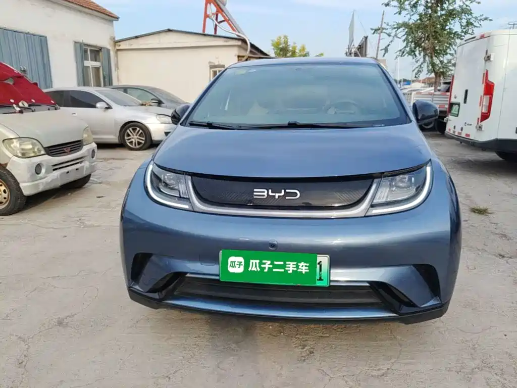 BYD Dolphin — миниатюра 3