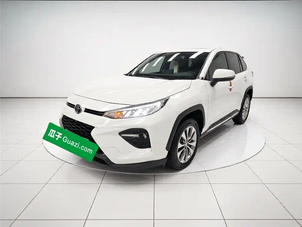 Toyota Wildlander 2020