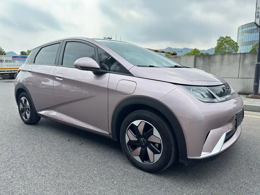 BYD Dolphin — миниатюра 3
