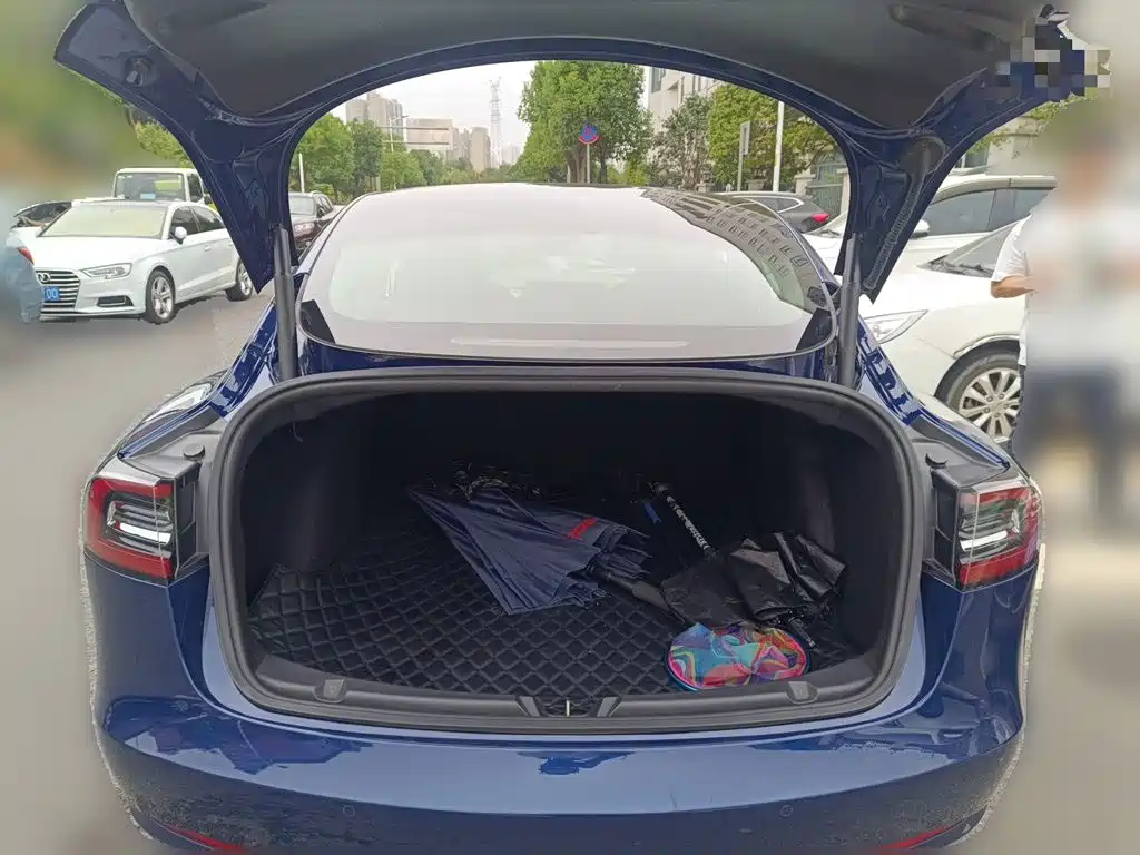 Tesla Model 3 — миниатюра 15