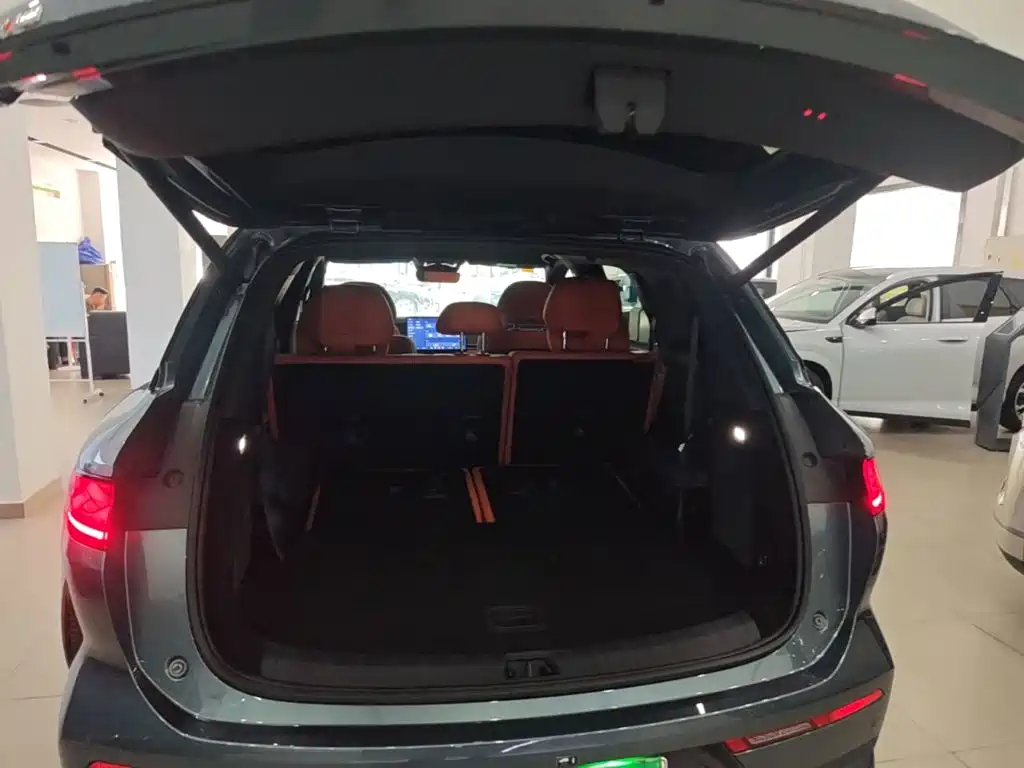 BYD Дон Л. — миниатюра 19