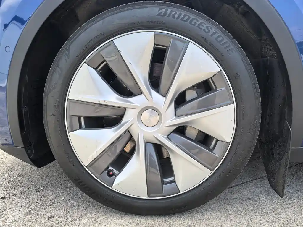 Tesla Model Y — миниатюра 7
