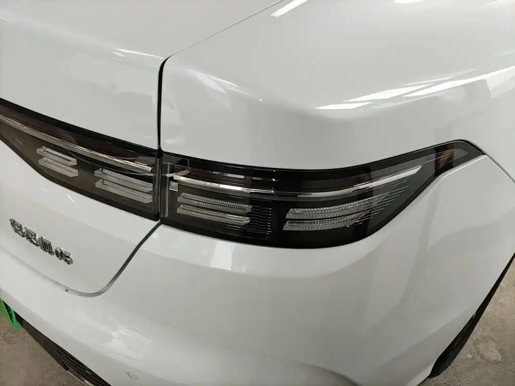 BYD Destroyer 05 2024 DM-i 55KM Luxury