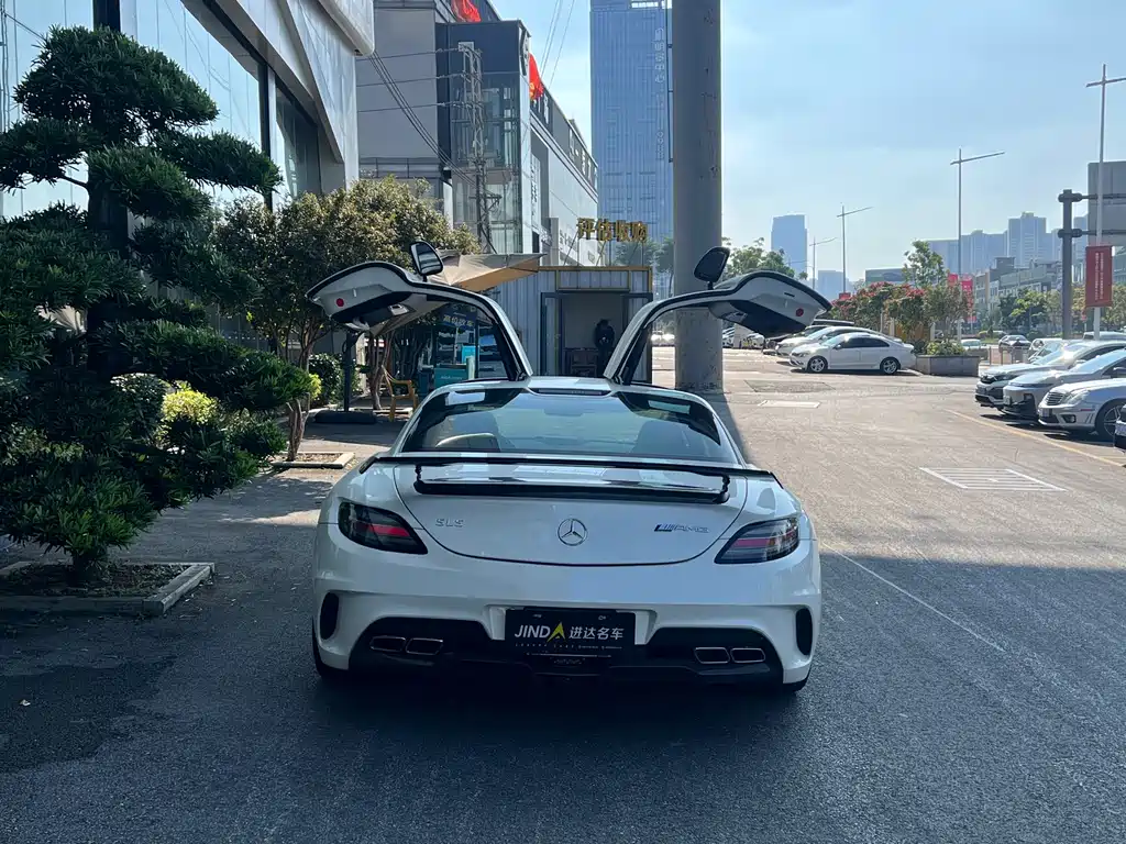 Mercedes-Benz SLS AMG SLS AMG Black Series, фото 8
