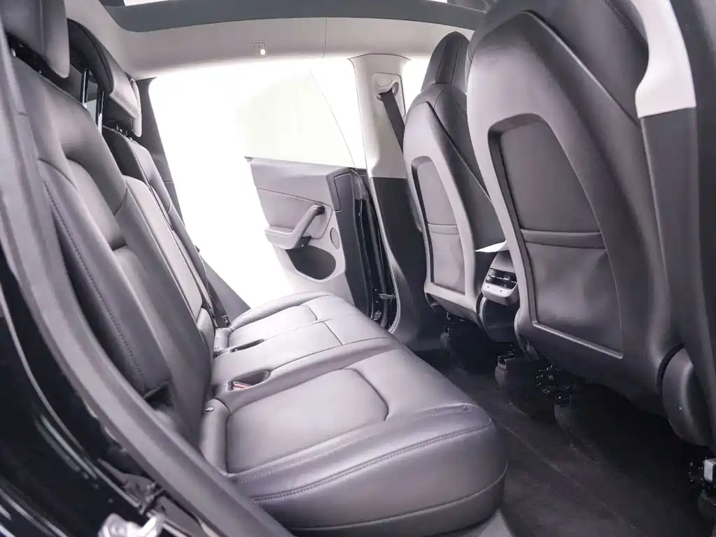 Tesla Model Y — миниатюра 25