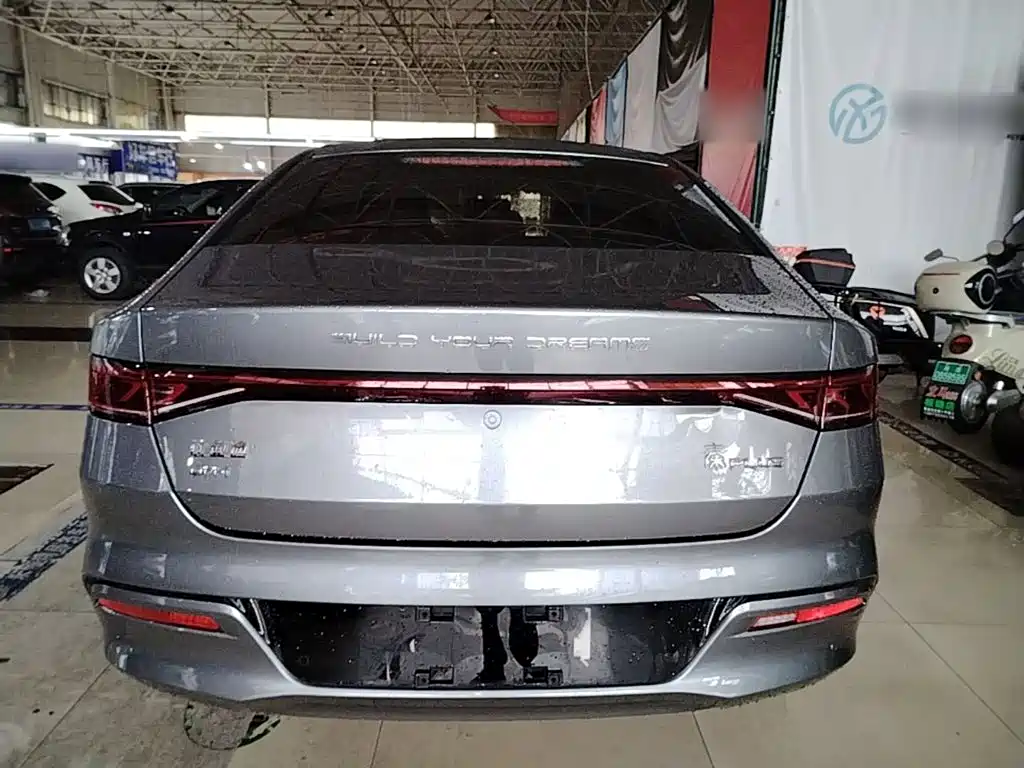 BYD Qin Plus PLUS 2024 DM-i 55KM Lead