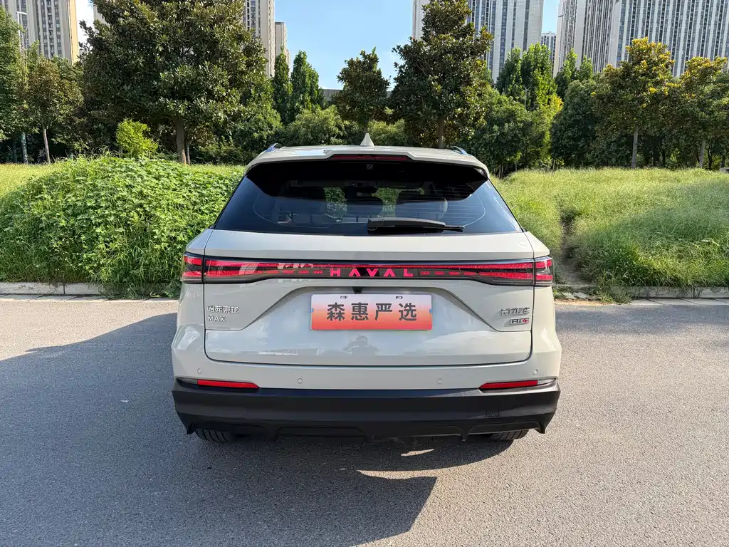 Haval Xiaolong MAX — миниатюра 16