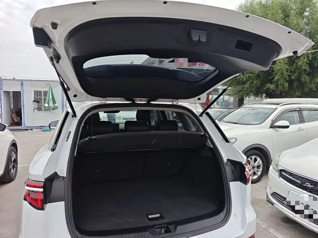 BYD Pro — миниатюра 19