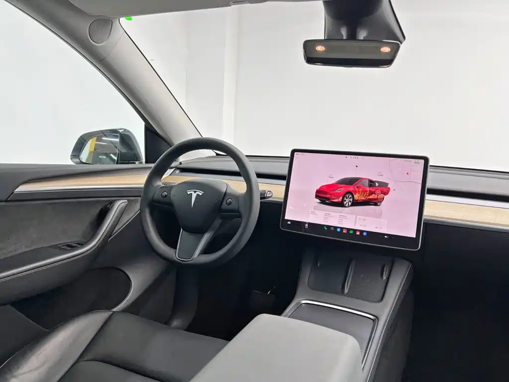 Tesla Model Y — миниатюра 24