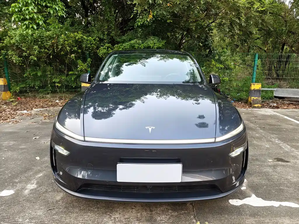 Tesla Model Y — миниатюра 6