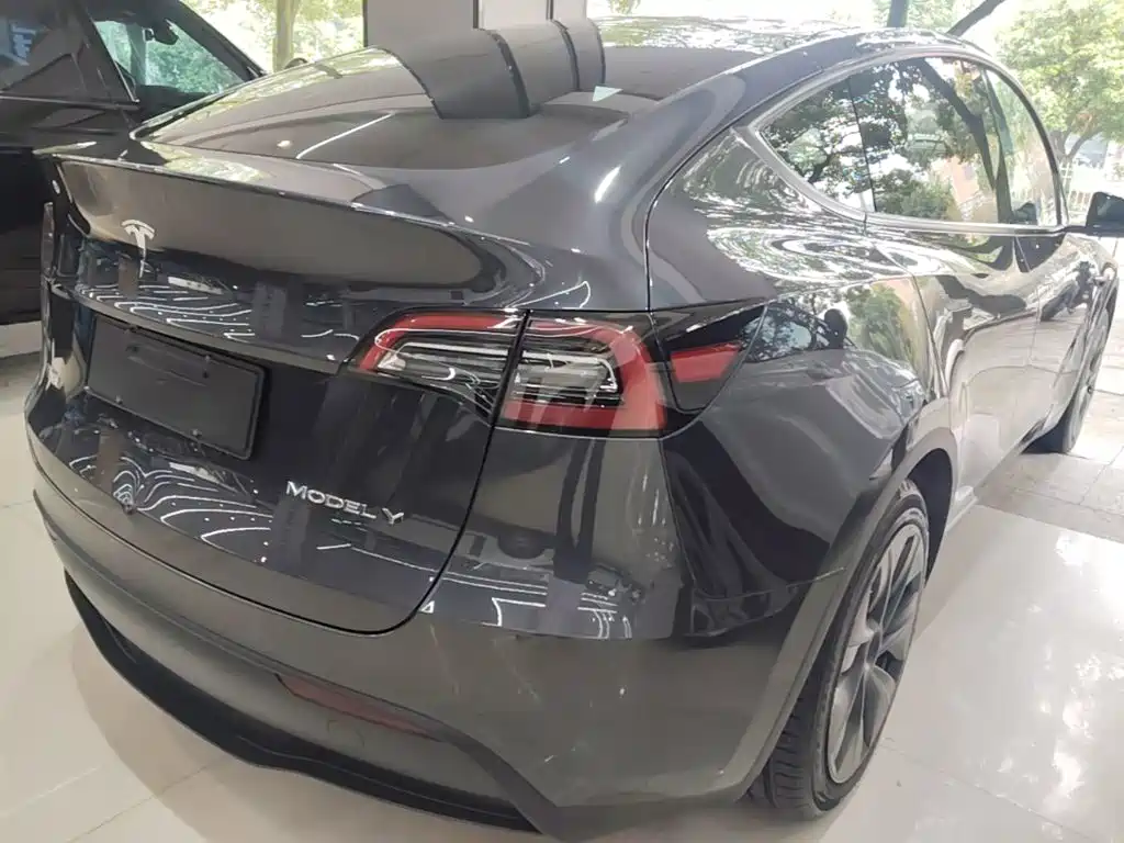 Tesla Model Y — миниатюра 7