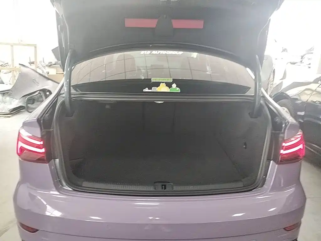 Audi RS 3 — миниатюра 19