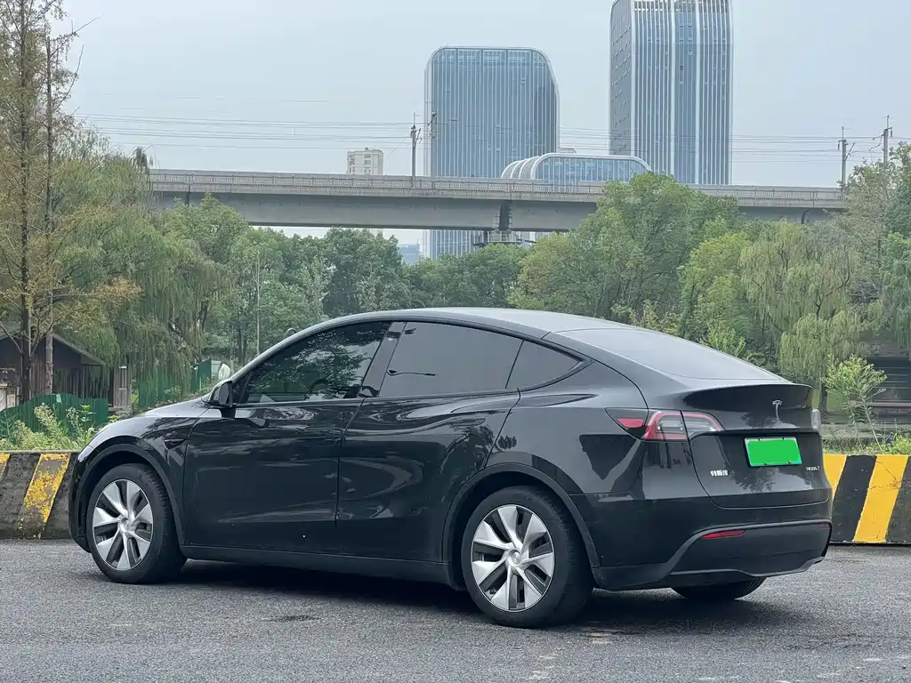 Tesla Model Y — миниатюра 5