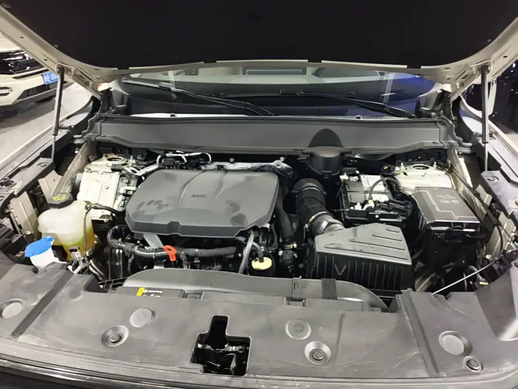 Haval Big Dog PLUS — миниатюра 20