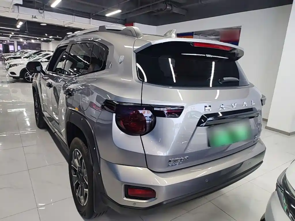 Haval Big Dog PLUS New Energy — миниатюра 5