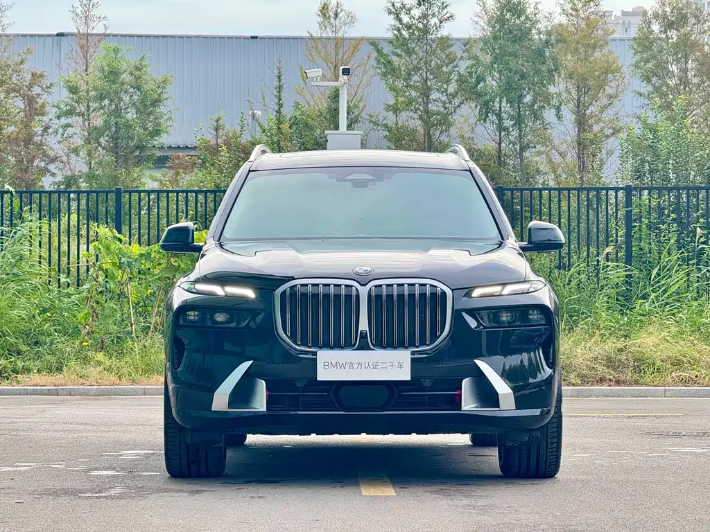 BMW X7 — миниатюра 2