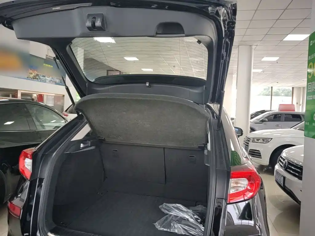 Honda Avancier — миниатюра 19