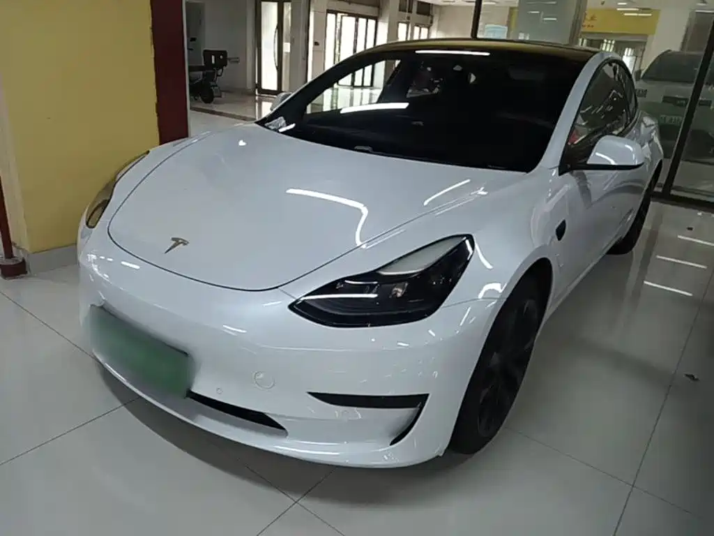 Tesla Model 3 2021 3D1