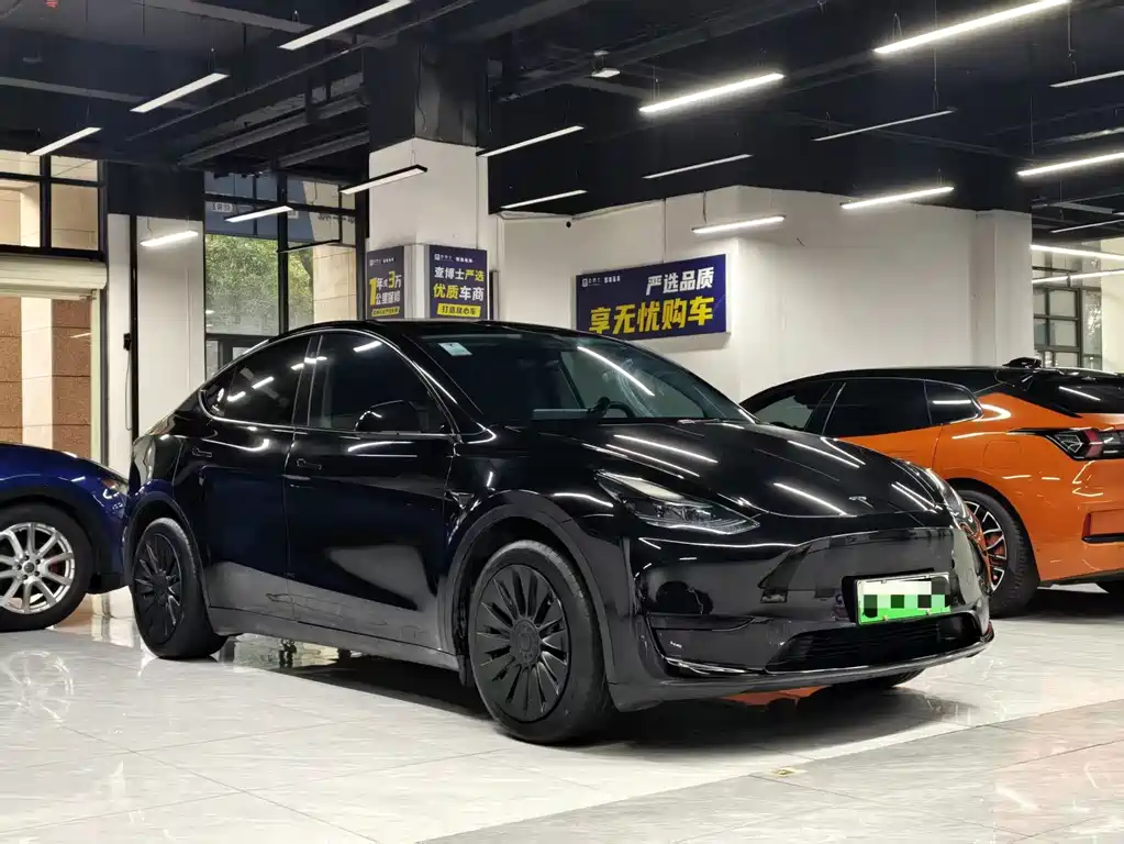Tesla Model Y — миниатюра 3