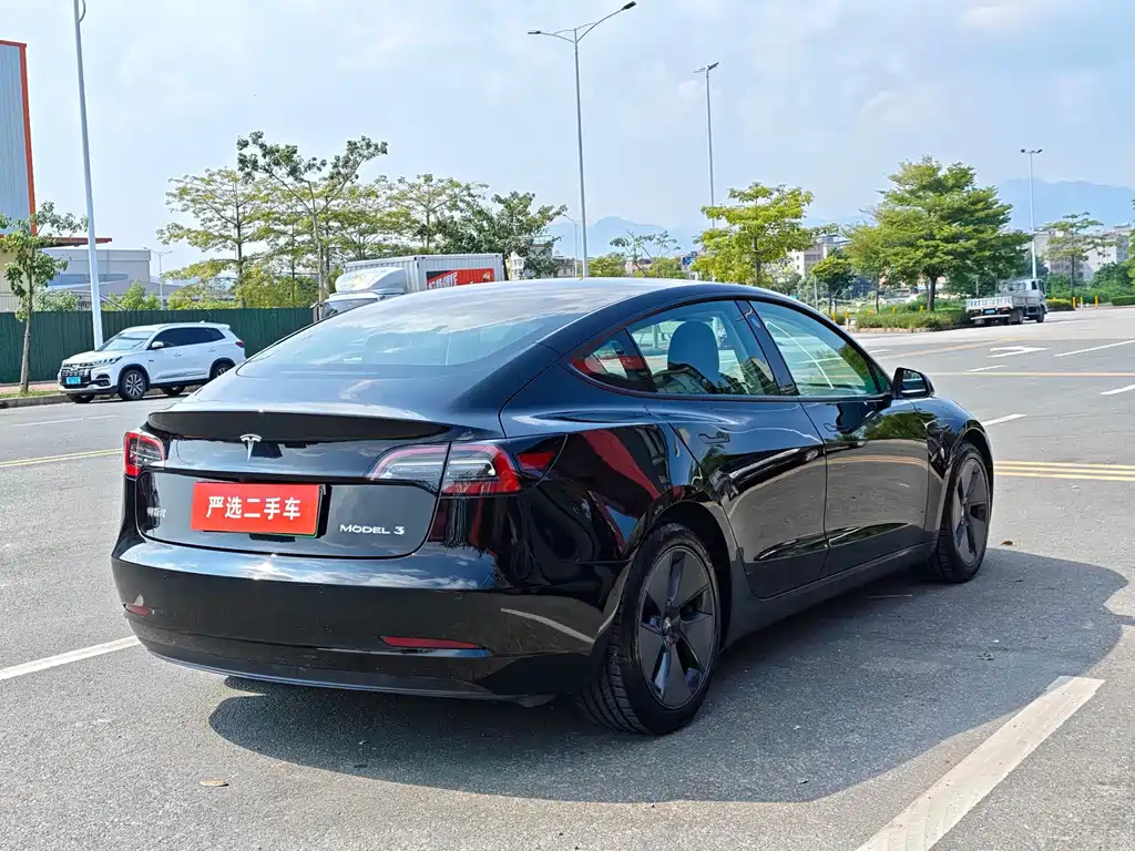 Tesla Model 3 — миниатюра 5
