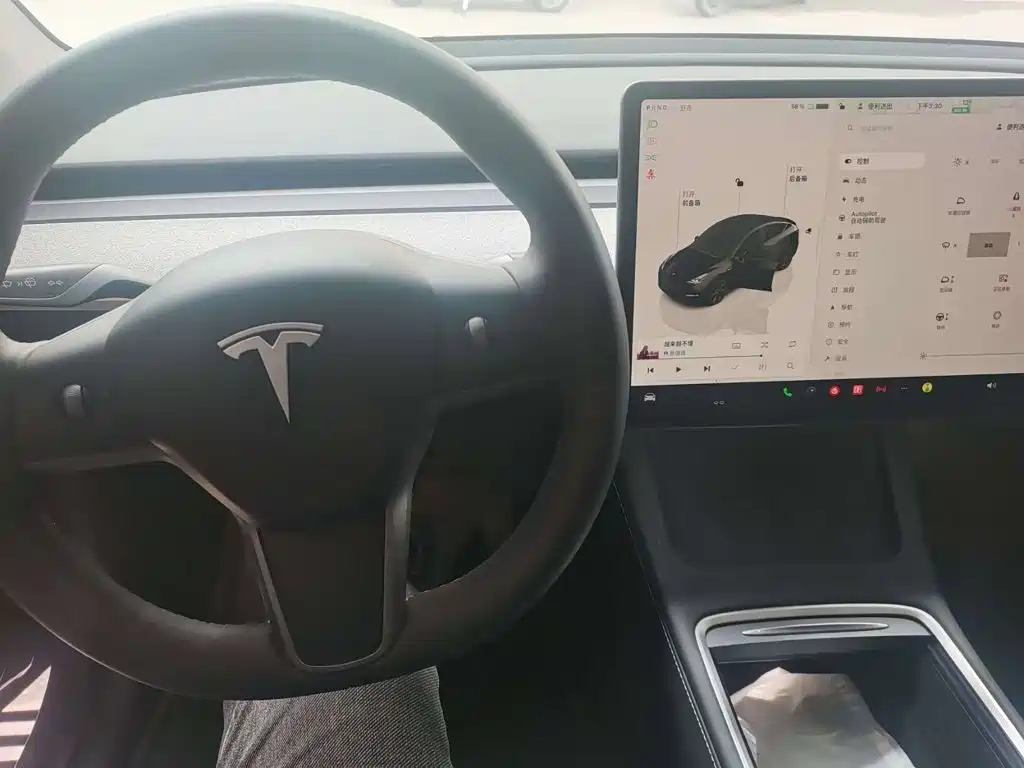 Tesla Model Y — миниатюра 5