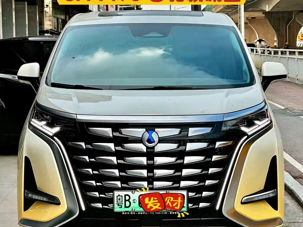 Denza Denza D9 — миниатюра 2