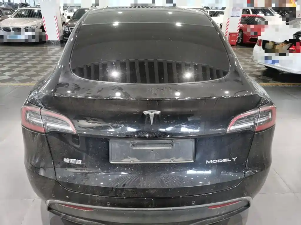 Tesla Model Y — миниатюра 6