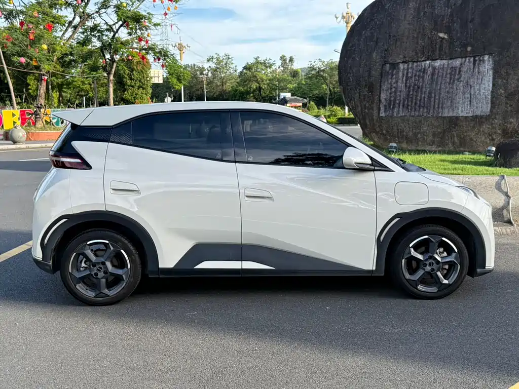 BYD Seagull 2024 305km Freedom