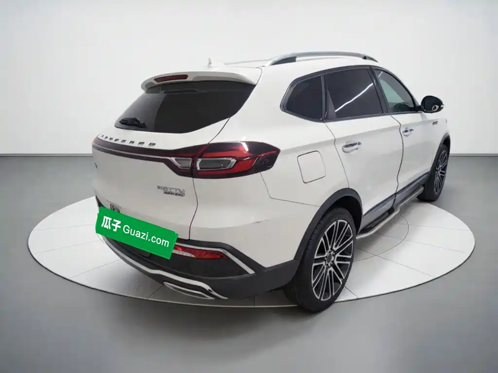 Leopaard Mattu — миниатюра 4