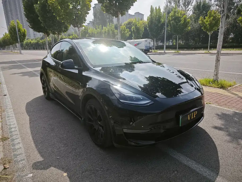 Tesla Model Y — миниатюра 3
