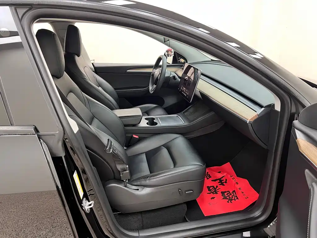 Tesla Model Y — миниатюра 28