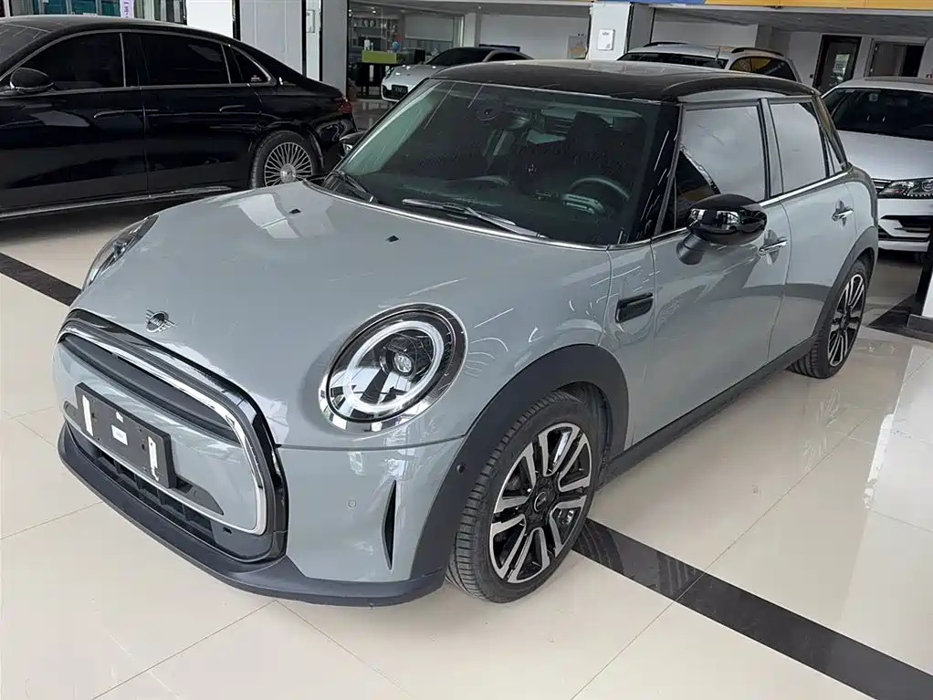 Mini Mini 2021