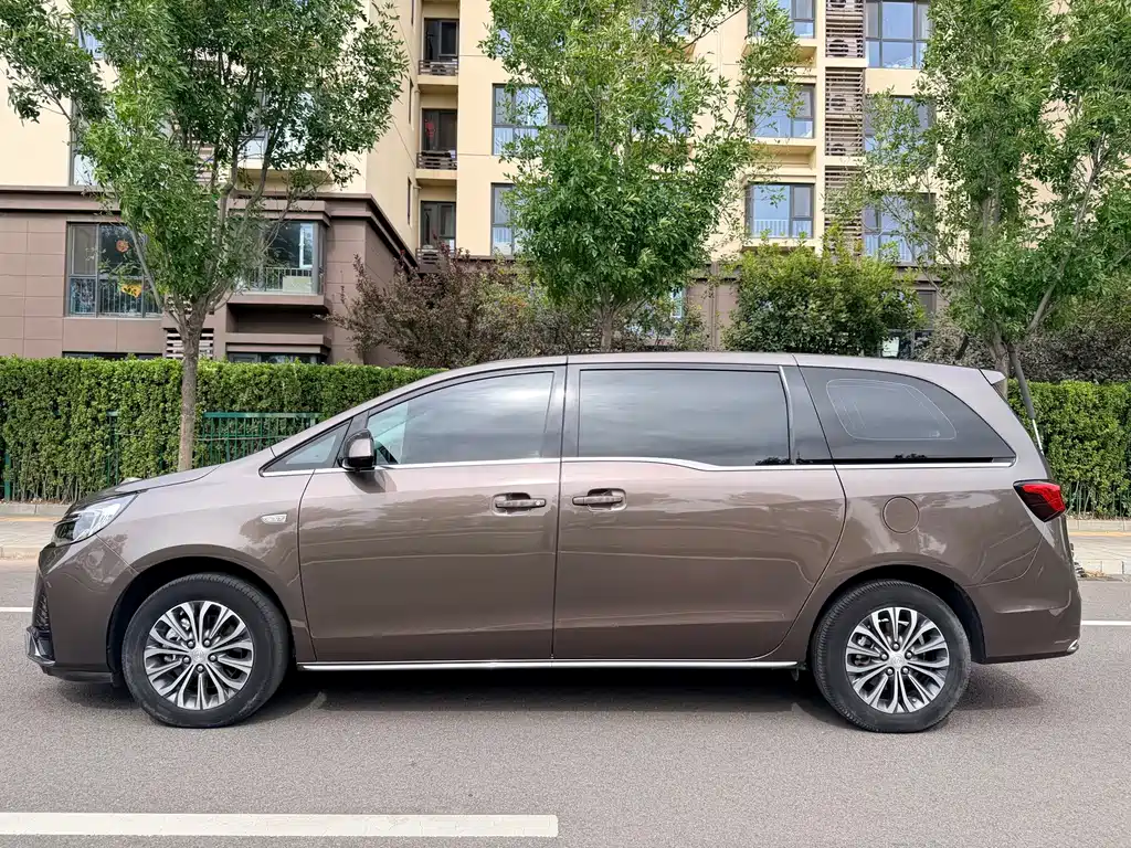 Buick GL8 — миниатюра 26