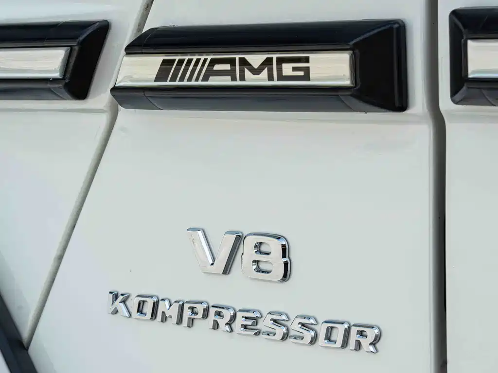Mercedes-Benz G-Class A MG G AMG 2009 AMG G 55