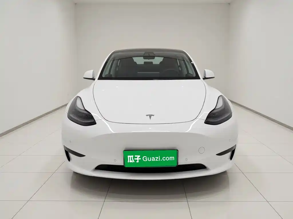 Tesla Model Y — миниатюра 2