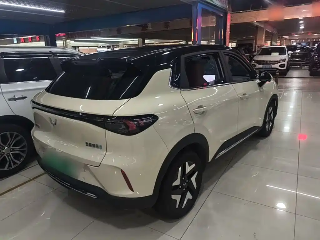 Wuling BinguoS S 2025 430km Flagship