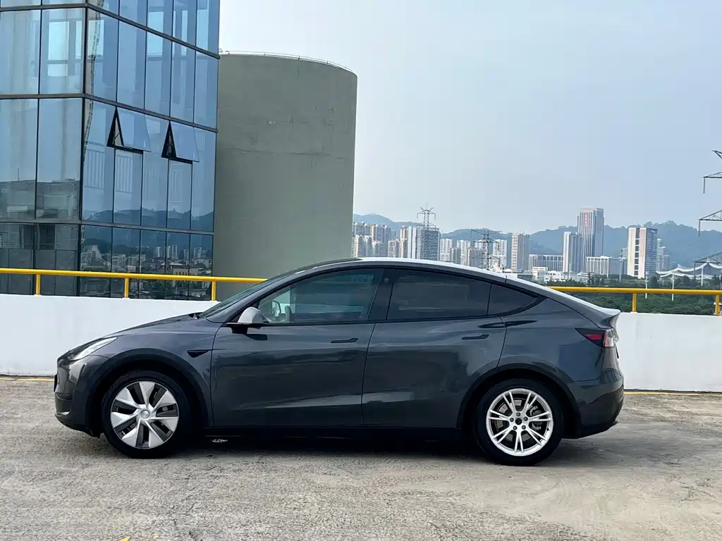 Tesla Model Y — миниатюра 4