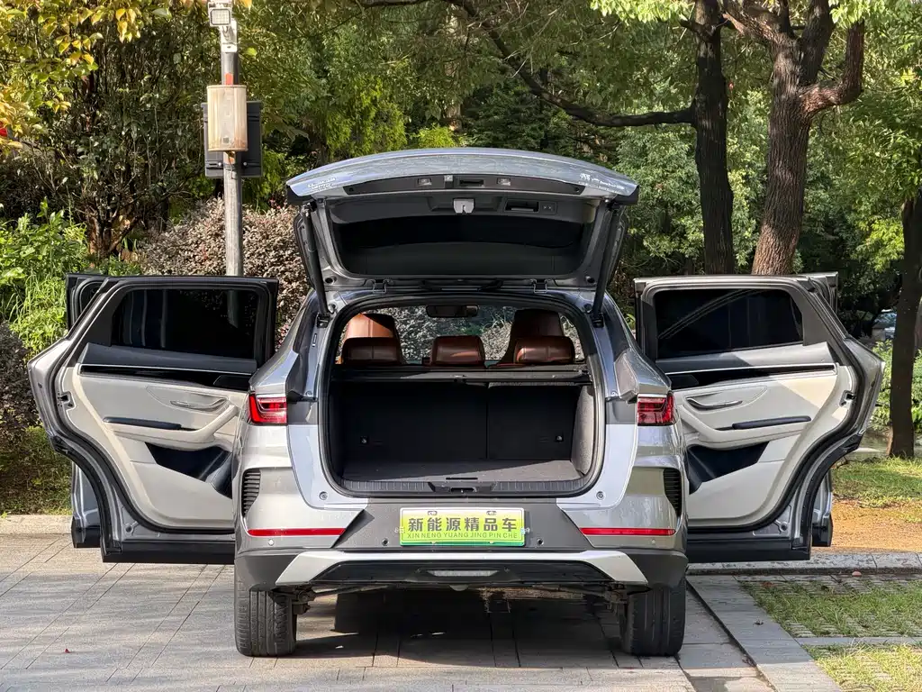 BYD PLUS New Energy — миниатюра 17