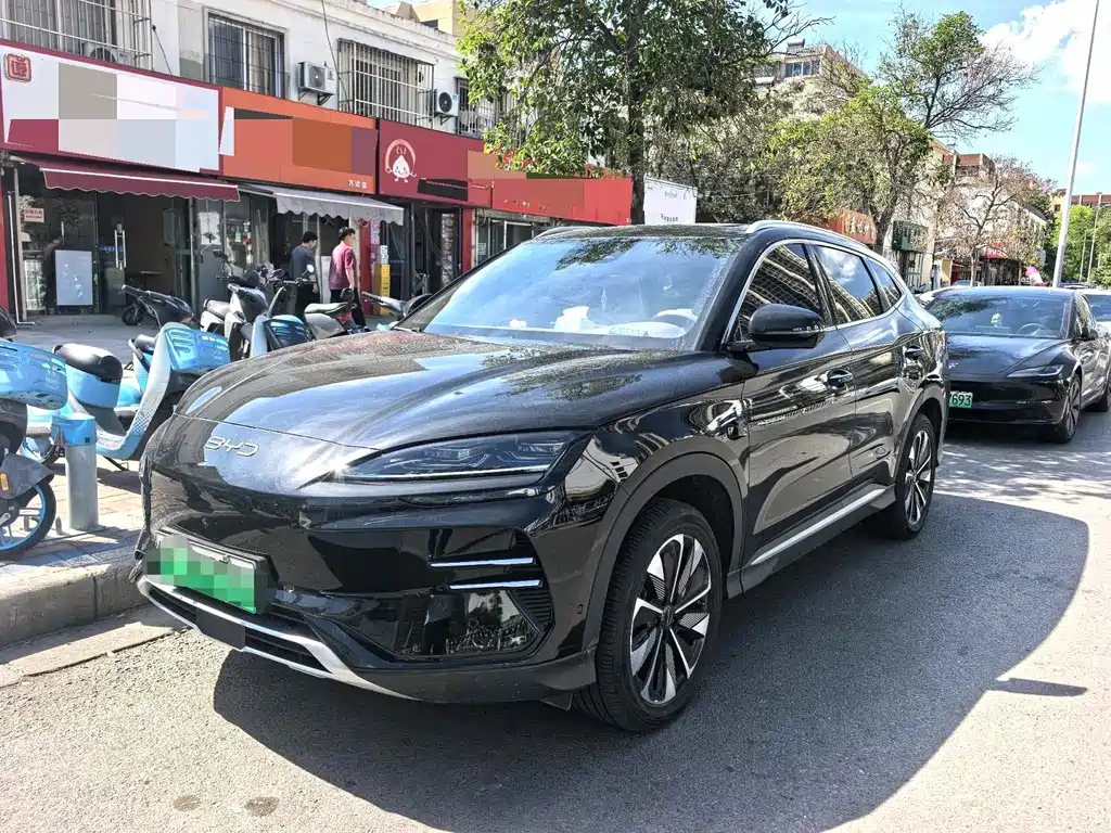 Byd PLUS New Energy 2025