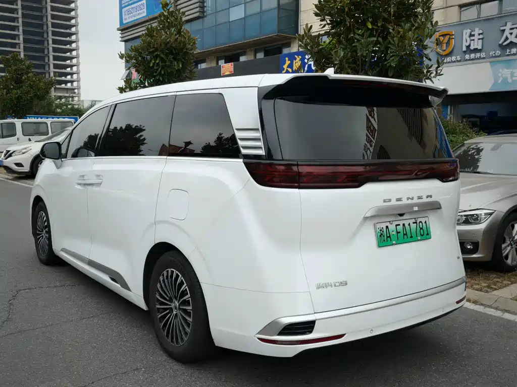 Denza Denza D9 — миниатюра 2