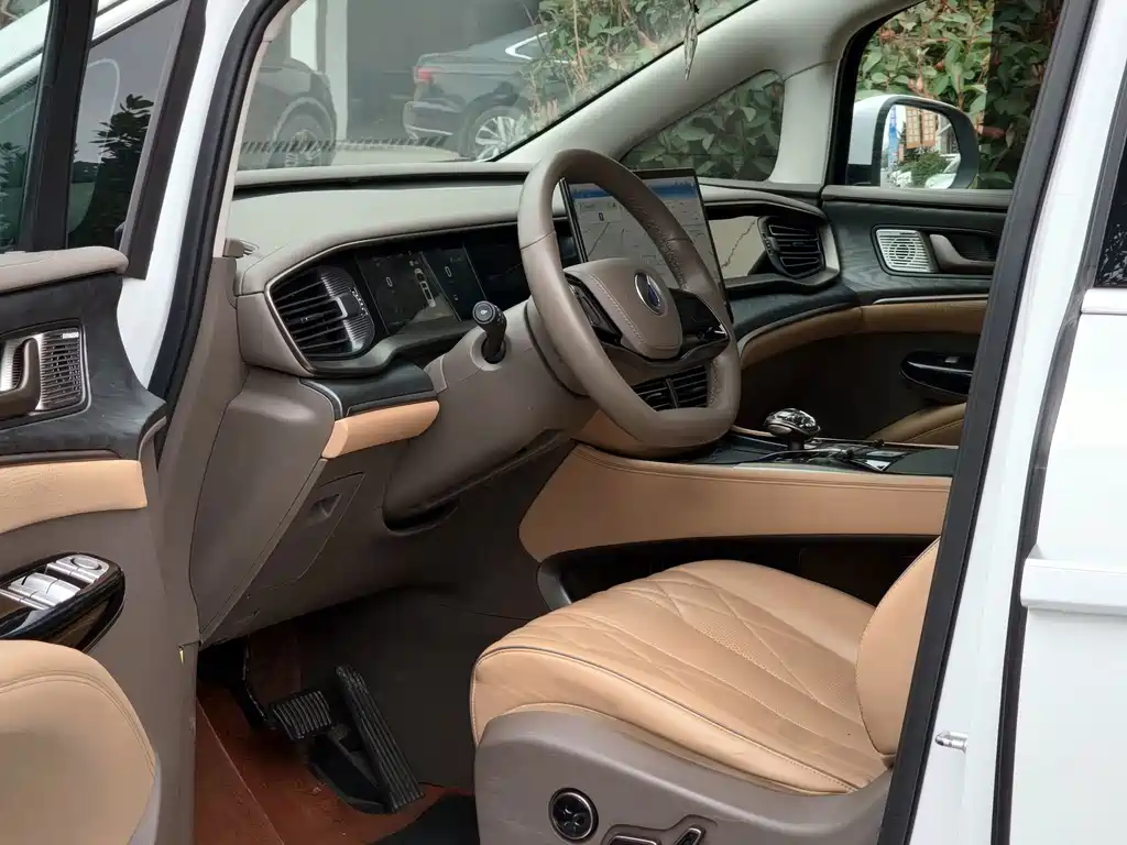 Denza Denza D9 — миниатюра 4