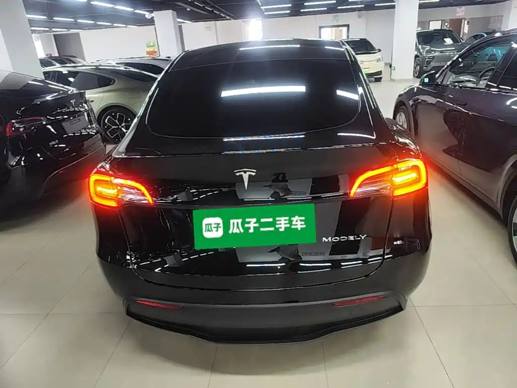 Tesla Model Y — миниатюра 6